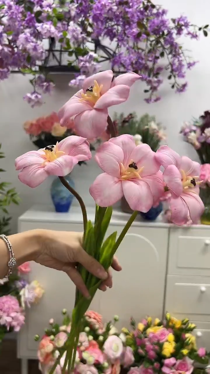博**麻4枝粉色布朗尼郁金香