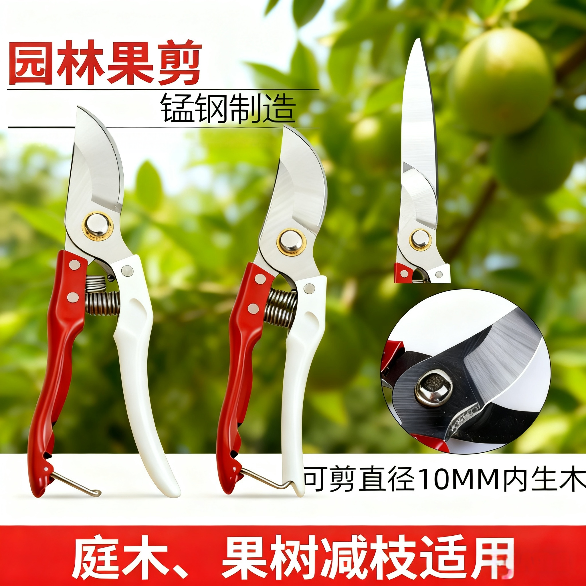 修枝剪园艺剪树枝果树专用剪刀修枝多功能园艺剪刀