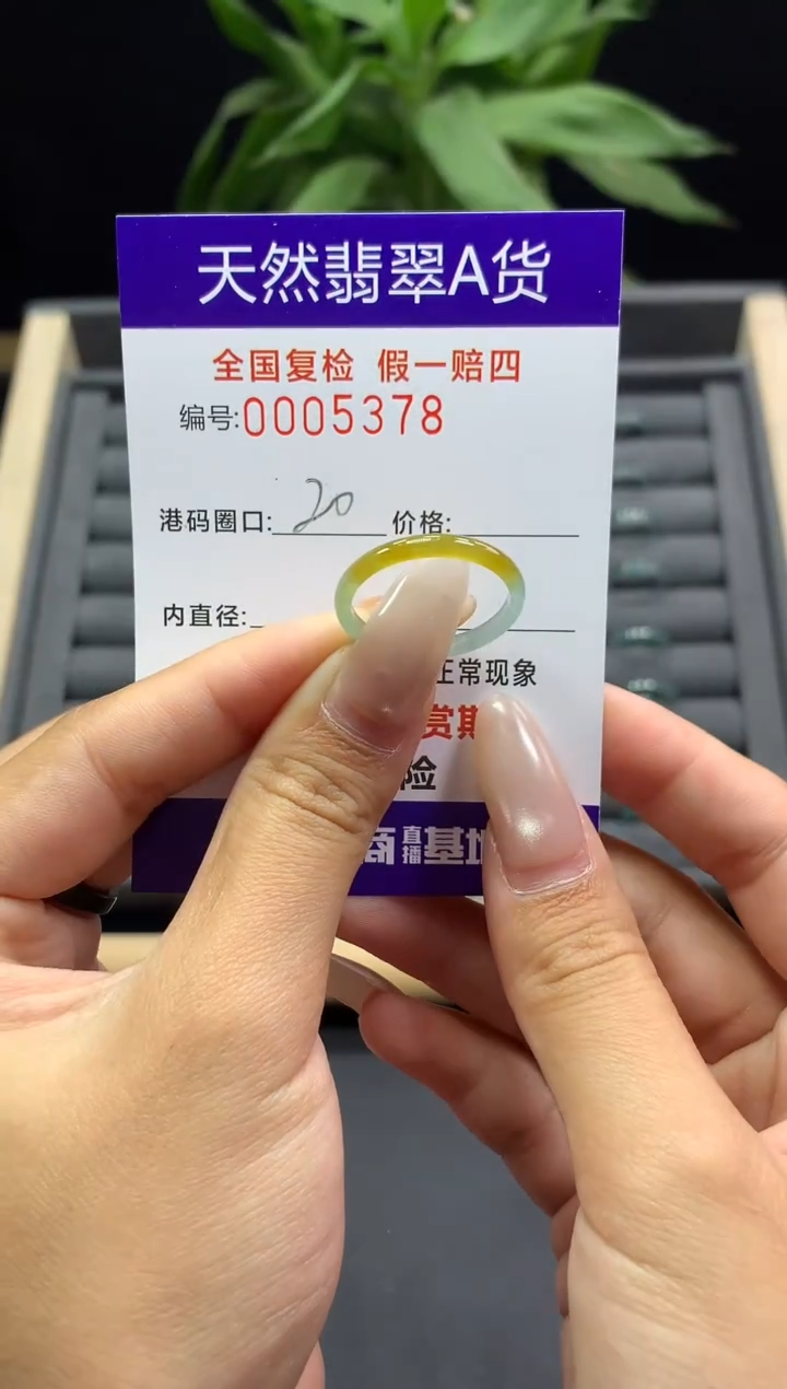 未镶嵌戒指翡翠天然  5378