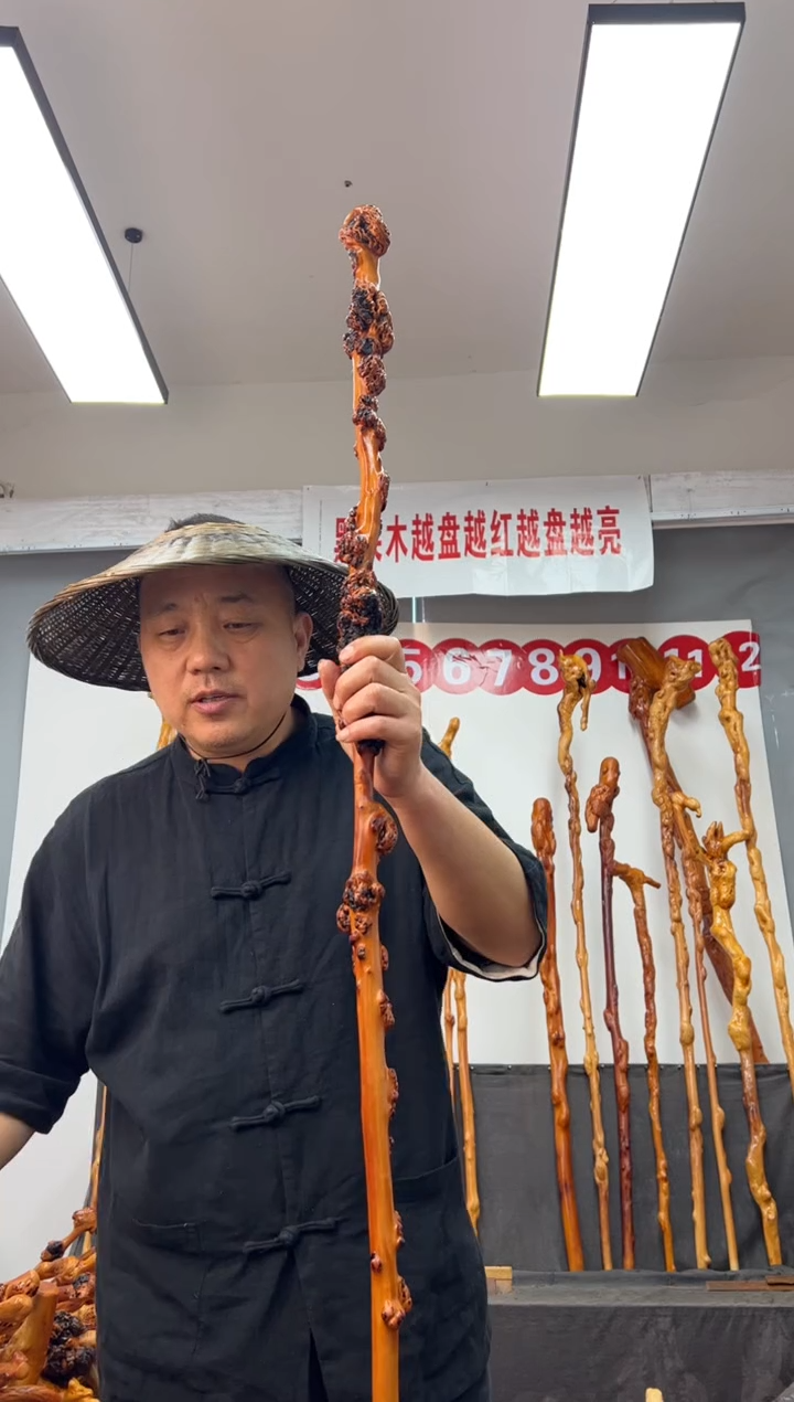 【闪购商品】黑果木其他黑果木366