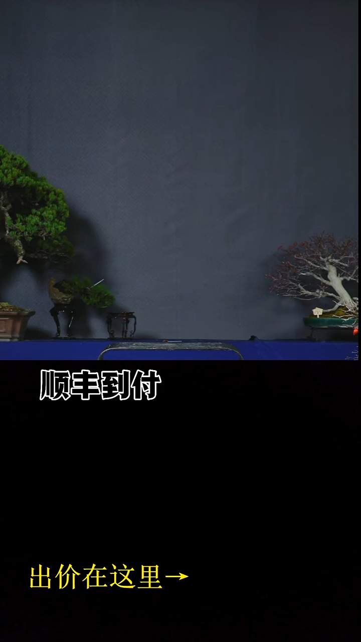 无花朵小*盈321546897