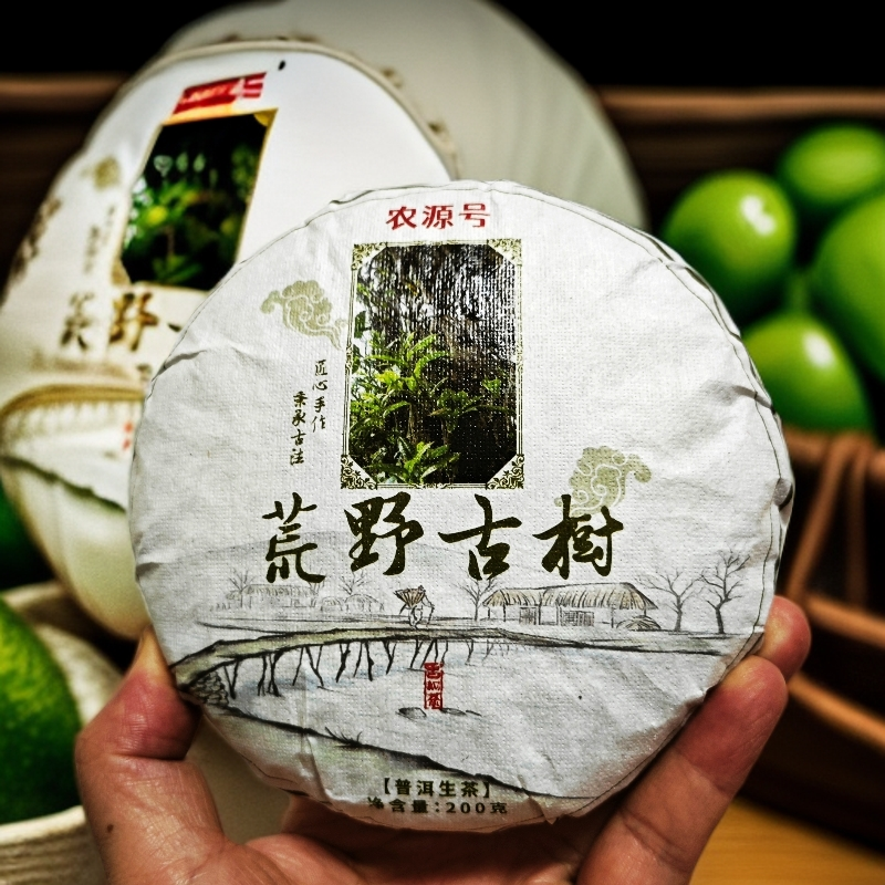 荒野古树 2025年  自家茶园 哀牢山西坡古树茶园 手工茶 