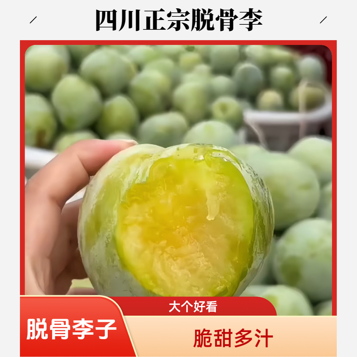 【明天到】四川脱骨李 奈李 青脆李子 脆软两吃 大个头 甜度高 皮带酸肉纯甜 汁水多四川省四川省