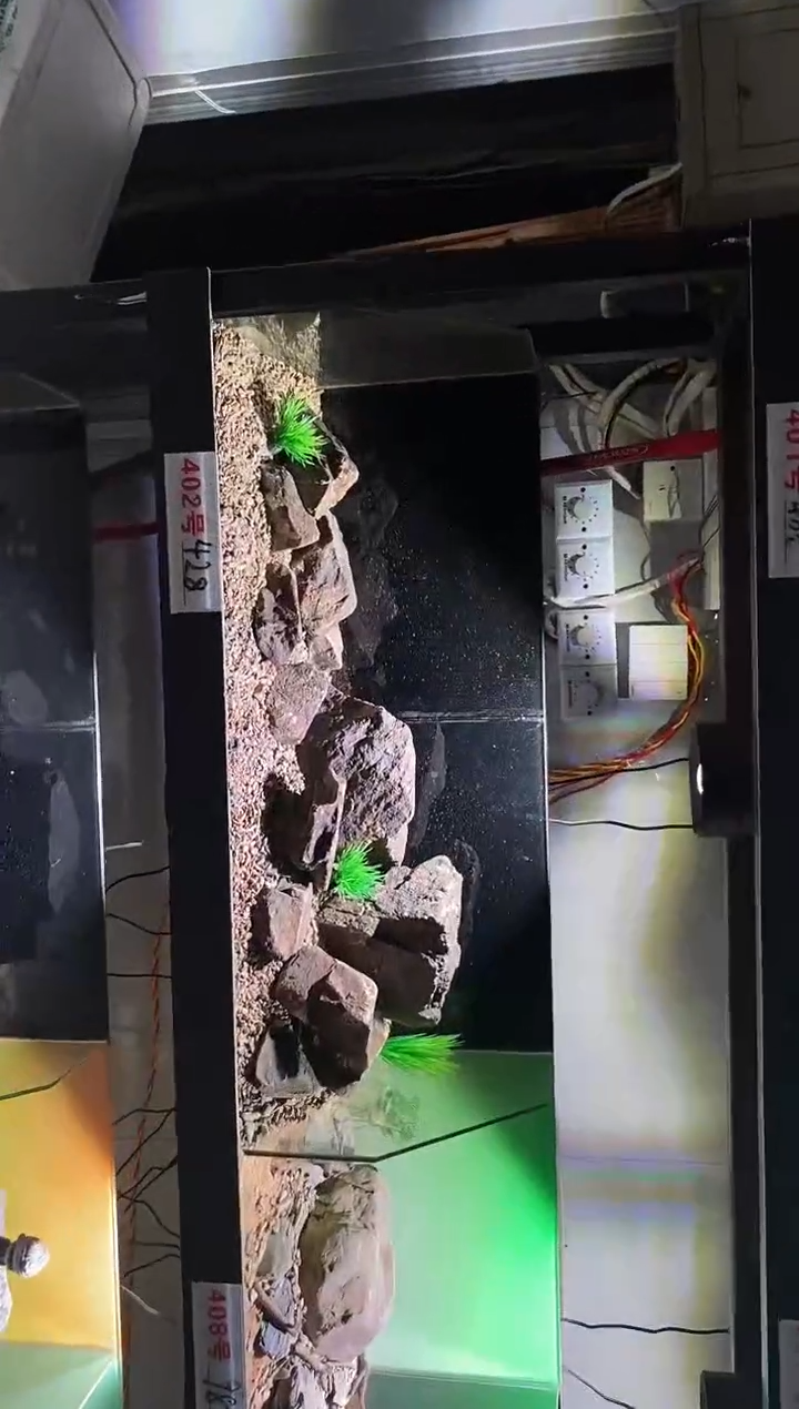 402号鱼缸造景（不含底砂）