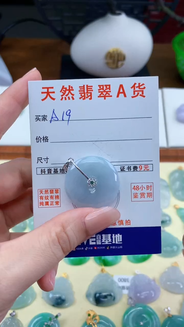 颈饰未镶嵌翡翠天然A货翡翠挂件