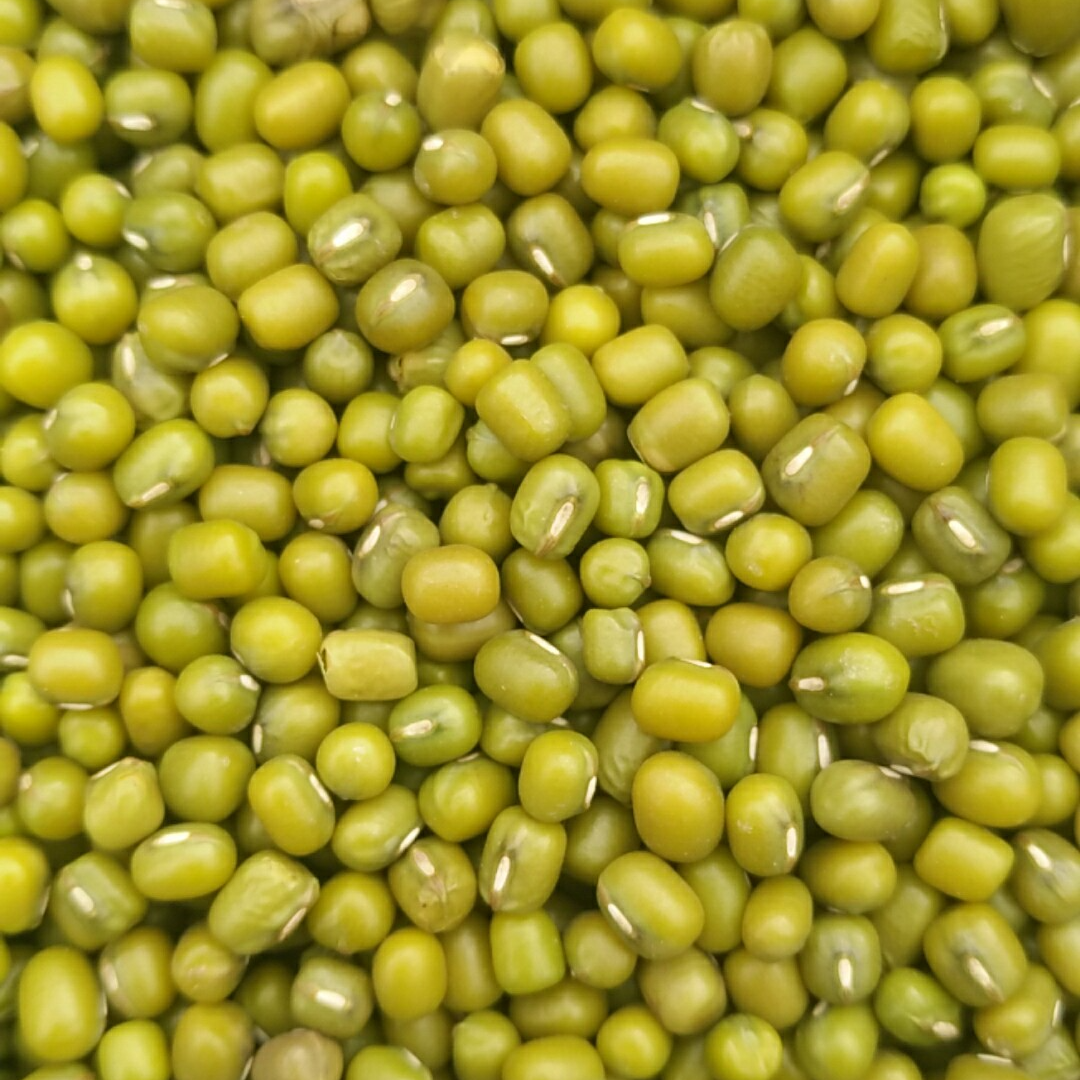 绿豆精选农家新货绿豆适合熬粥煲汤解暑营养丰富