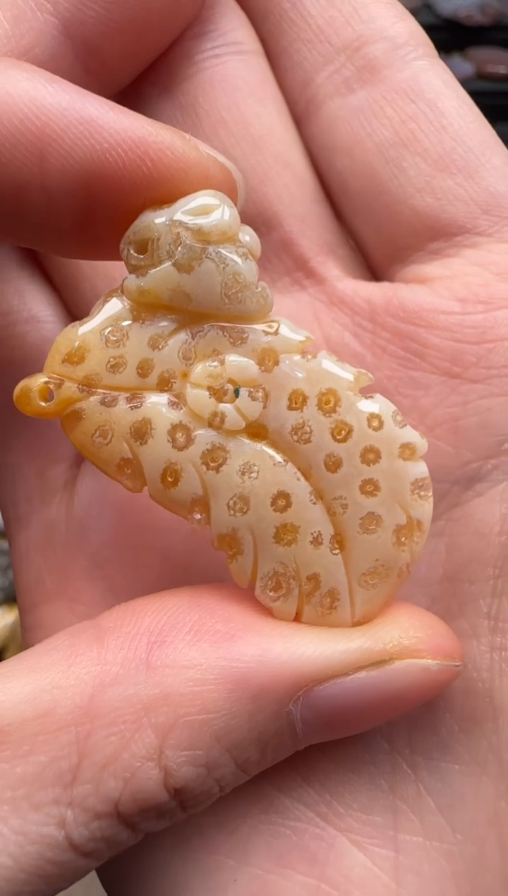 【闪购商品】硅化珊瑚（珊瑚玉）颈饰未镶嵌422