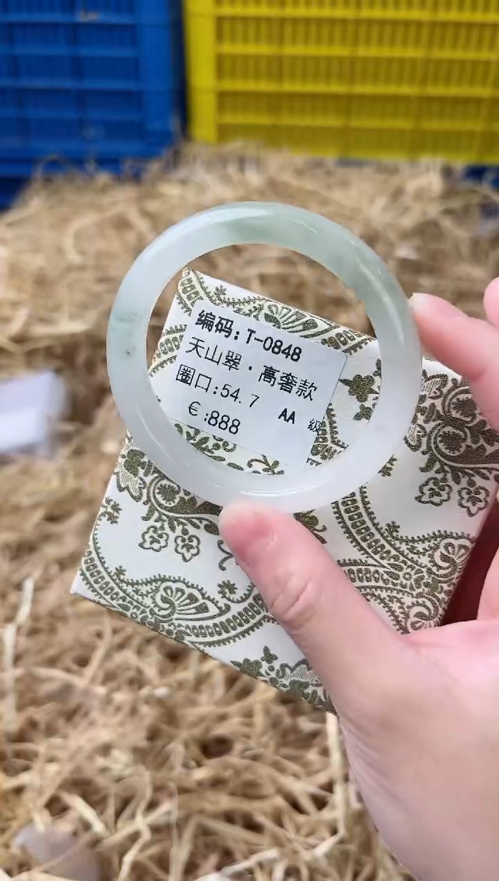 未镶嵌手镯石英质玉T-0848
