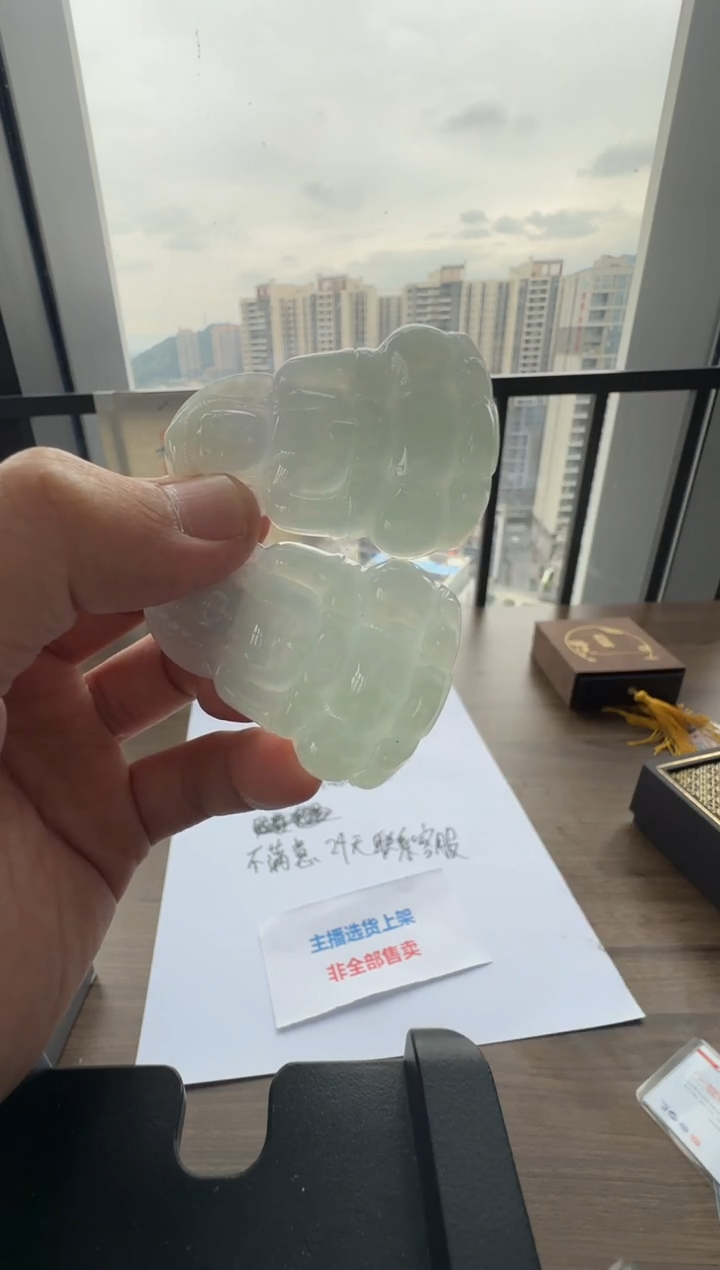 颈饰未镶嵌翡翠天然A货翡翠冰晴正装观音 多样性发一件