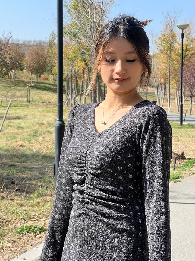 秋季套头秋冬季A字裙法式连衣裙性感显瘦v领秋冬圆领