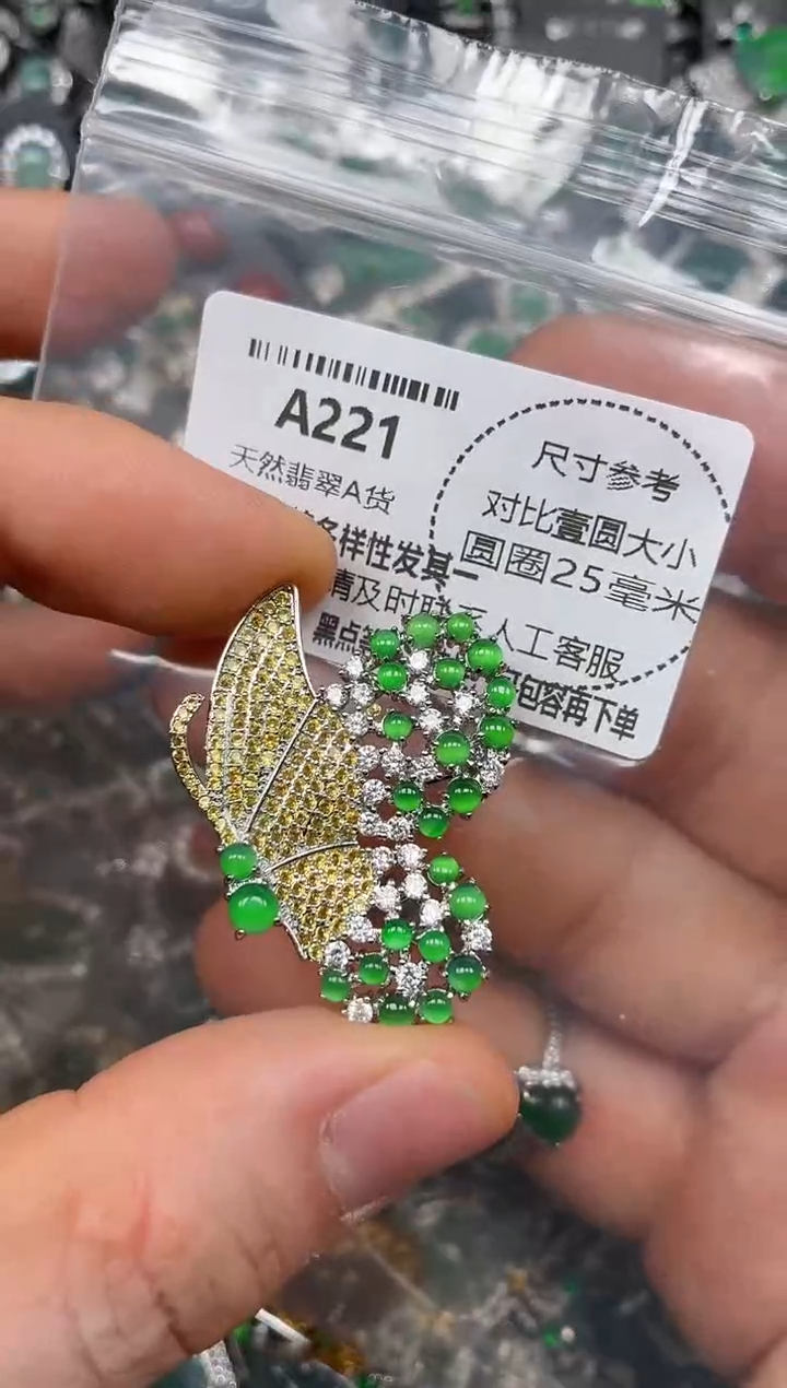 颈饰未镶嵌翡翠A221胸针