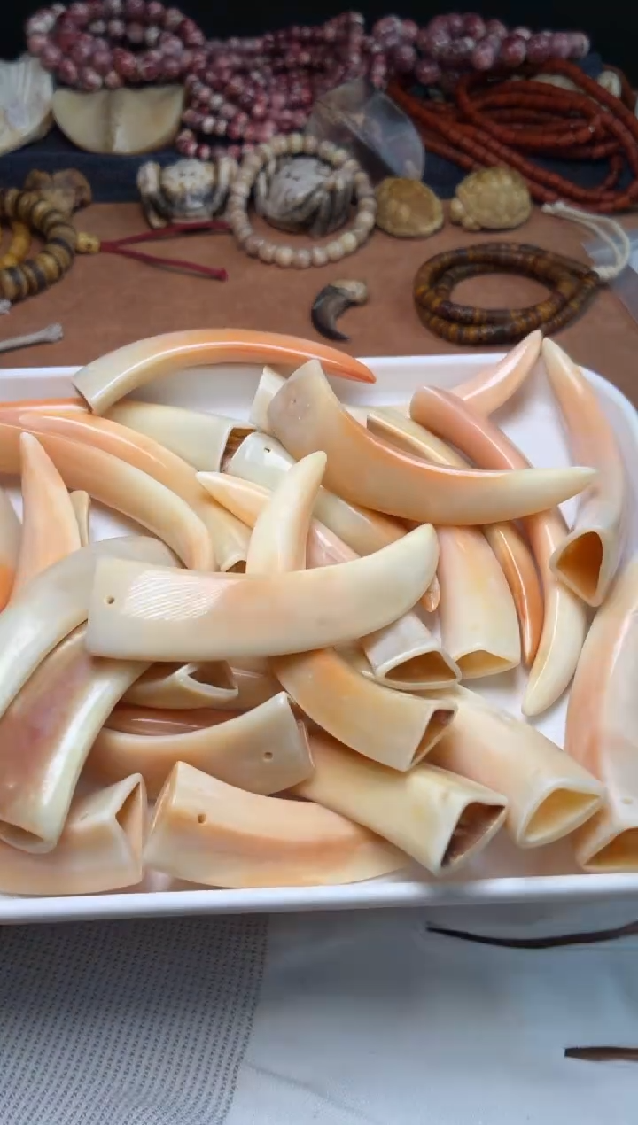 猪牙把件P1448-猪牙-一点红系列