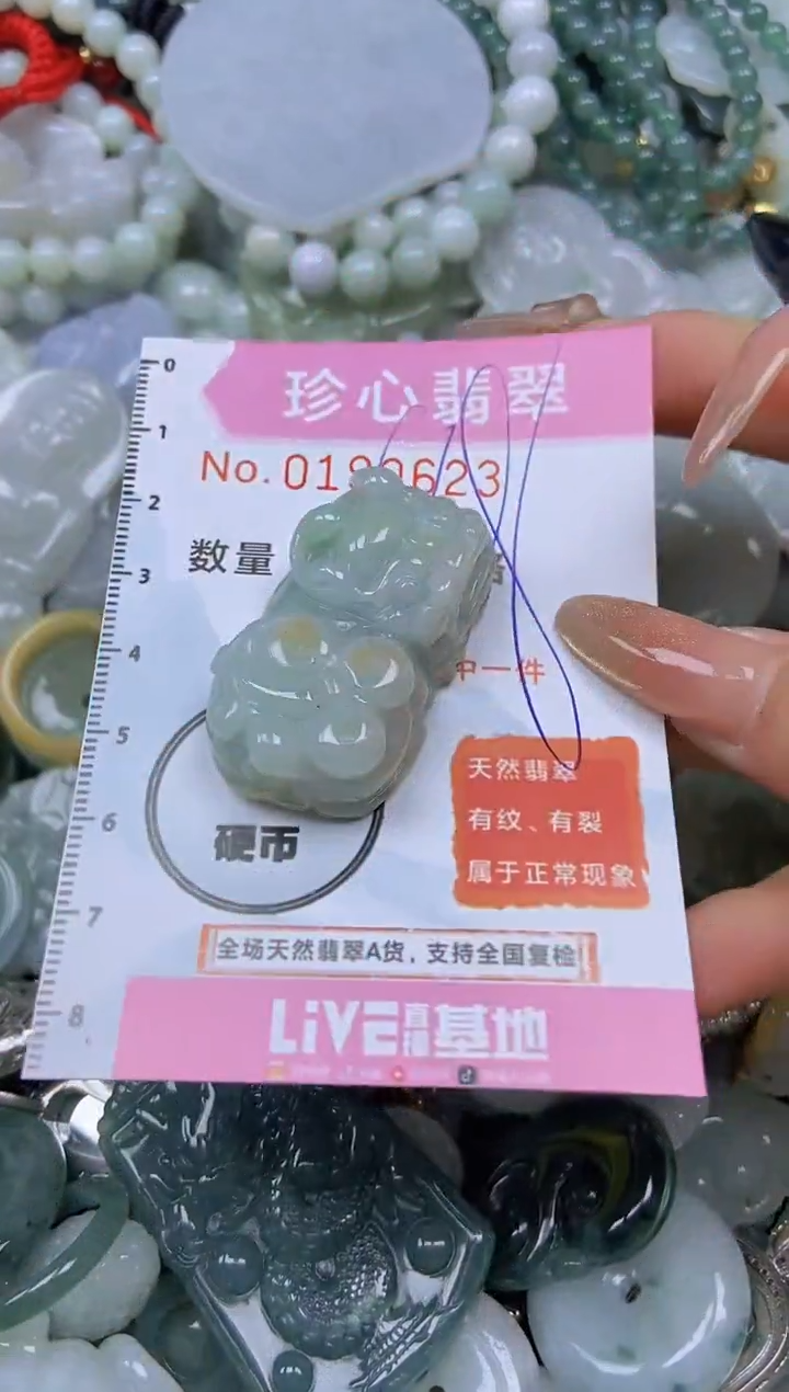 翡翠未镶嵌颈饰闪购链接0190623