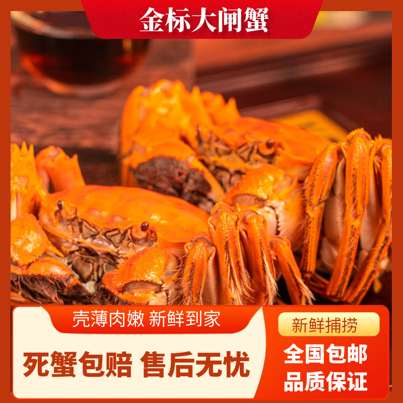 【活蟹】江苏精品大闸蟹全公蟹公4.5-4.2两加2只到手10/8只