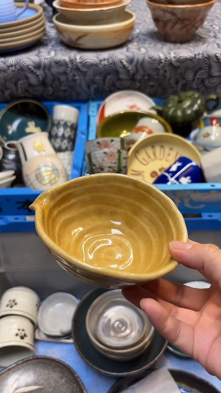 瓷片喵喵家都是大漂亮