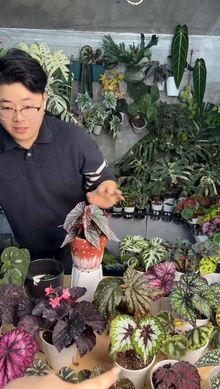 完全开放在逃公主