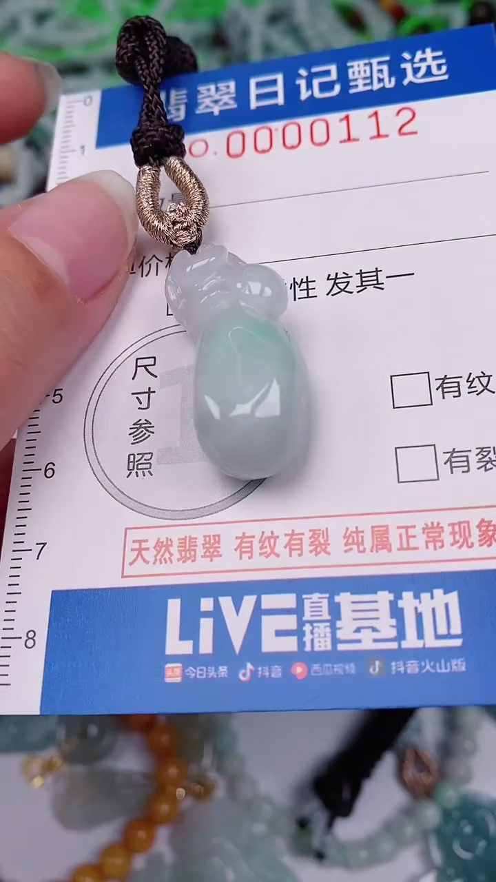 【闪购商品】翡翠颈饰未镶嵌00000112