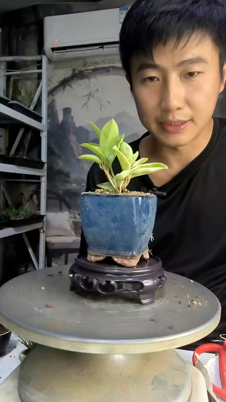 闲***活中青园艺一物一拍285