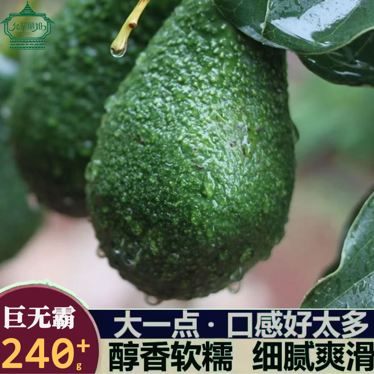 云南特产新鲜哈斯牛油果之乡孟连发货【巨无霸240+】甄选麒麟果王