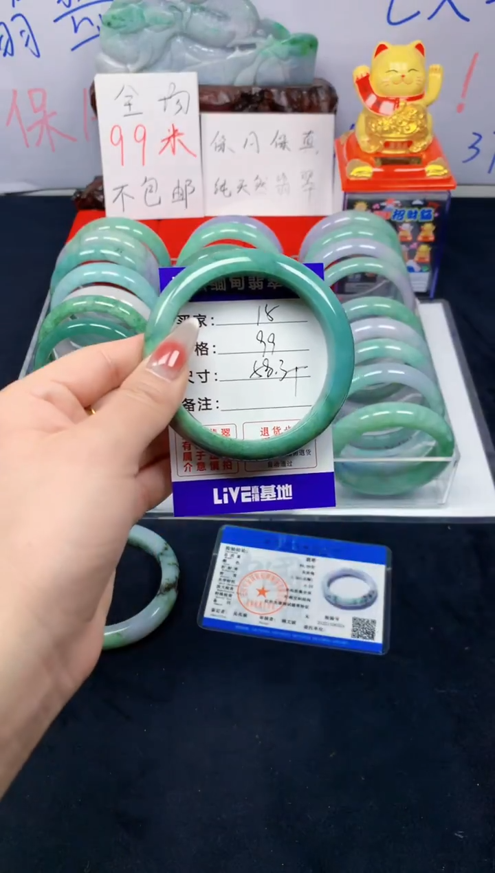 未镶嵌手镯翡翠15