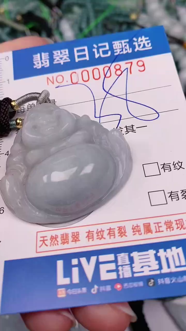 【闪购商品】翡翠颈饰未镶嵌00000879