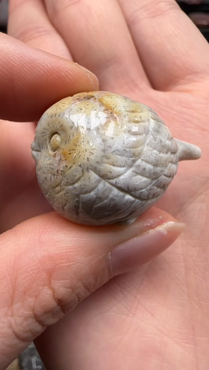 【闪购商品】硅化珊瑚（珊瑚玉）颈饰未镶嵌233