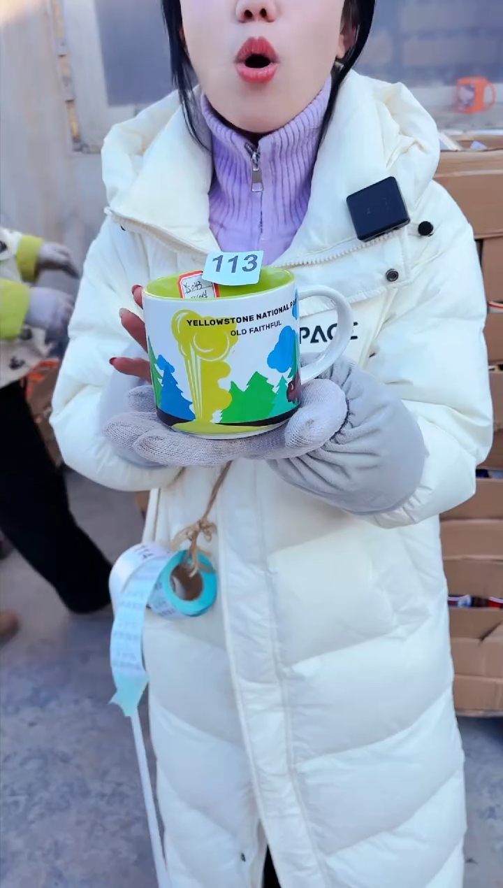 【闪购商品】炻瓷无盖款113