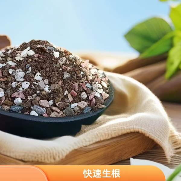 营养土（5斤）  多肉绿植专用优质功升级版健康养分生长多肉使用