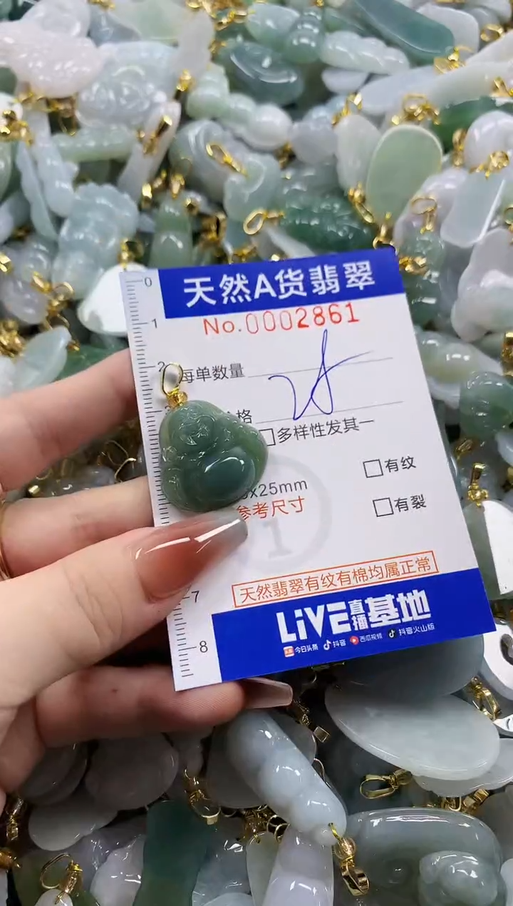 颈饰未镶嵌翡翠天然A货翡翠