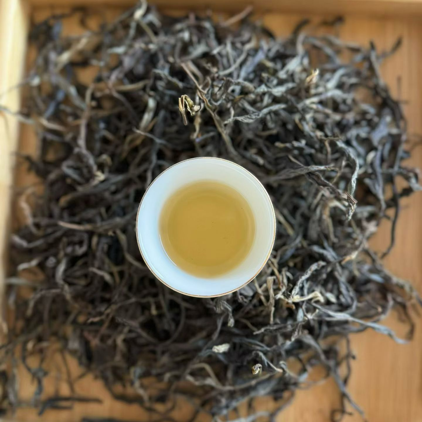 通用链接，云南普洱茶 