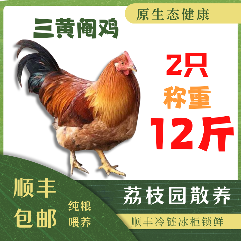活鸡发货 阉鸡两只 12斤 湛江鸡 荔枝园土鸡 五谷杂粮