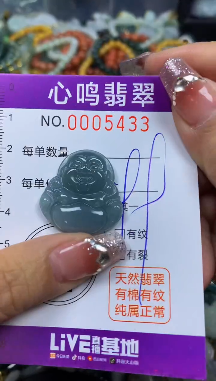 【闪购商品】翡翠颈饰未镶嵌闪购005433