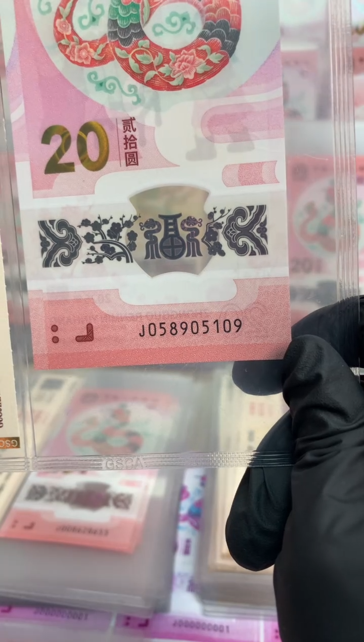 【闪购商品】塑料蛇钞 真钞【单张】5109