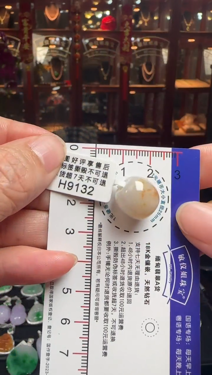 【闪购商品】翡翠颈饰未镶嵌H9132路路通