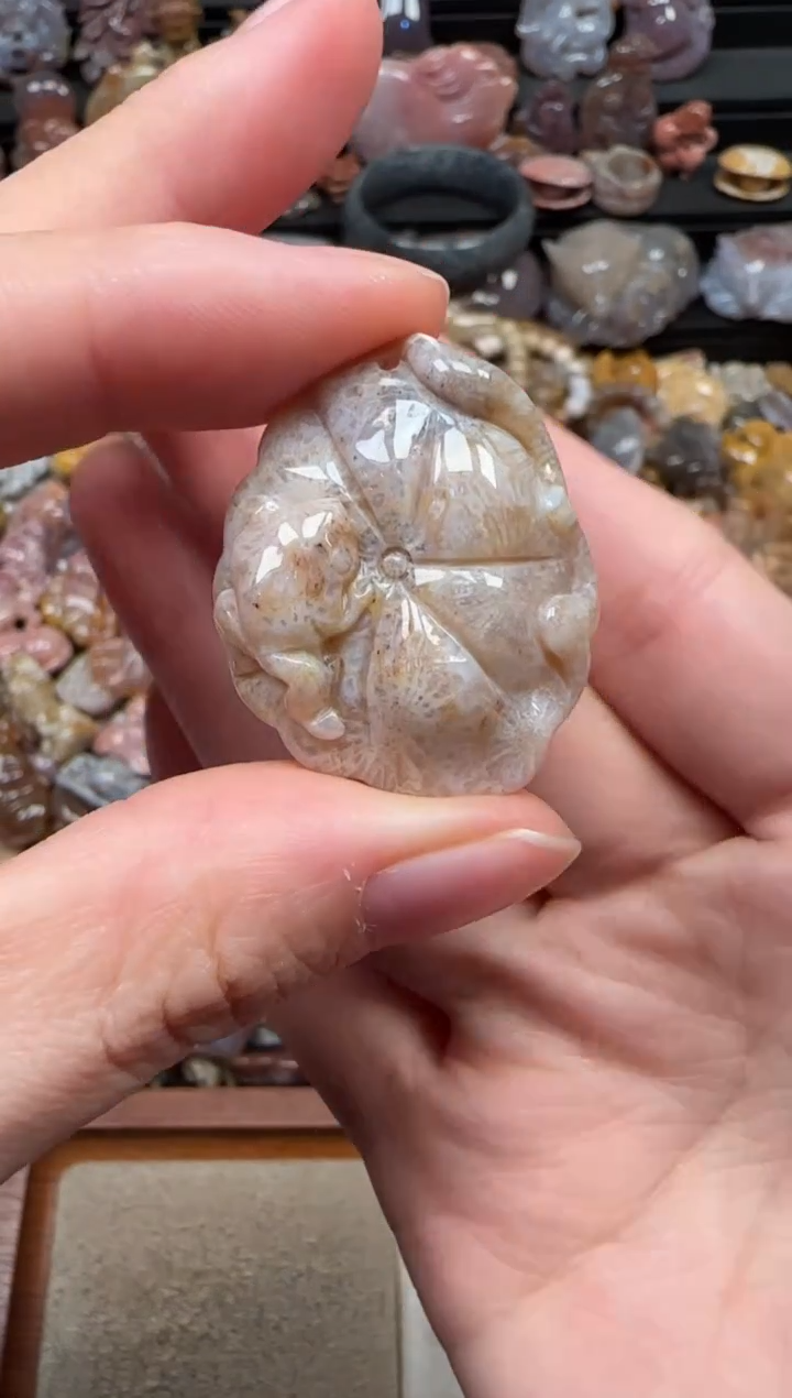 颈饰未镶嵌硅化珊瑚（珊瑚玉）718