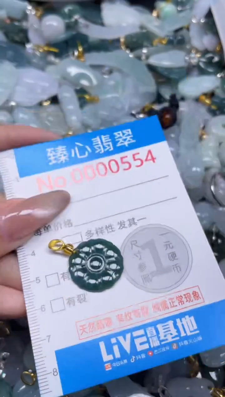 颈饰未镶嵌翡翠554