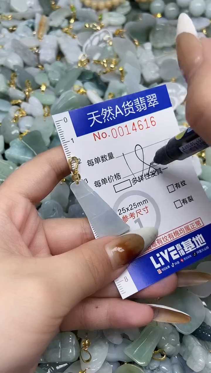 【闪购商品】翡翠颈饰未镶嵌天然A货翡翠