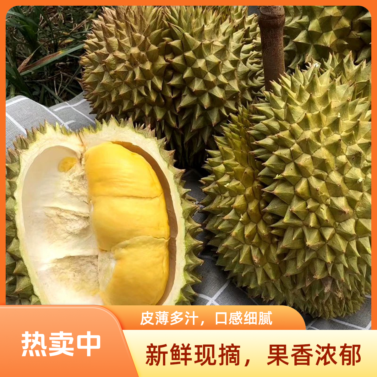 【京东包邮】四色菊府金枕树熟鲜榴莲核小肉厚2-10斤金枕泰国东部