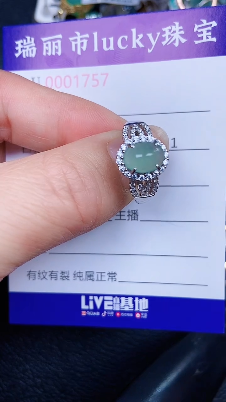 颈饰银S925镶嵌翡翠1757