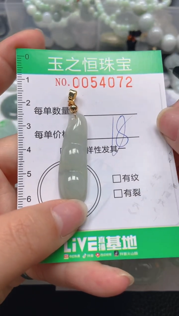 【闪购商品】翡翠未镶嵌颈饰闪购0054072