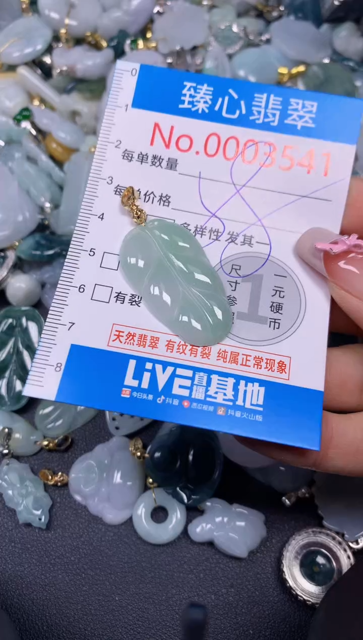 【闪购商品】翡翠颈饰未镶嵌含绳0003541