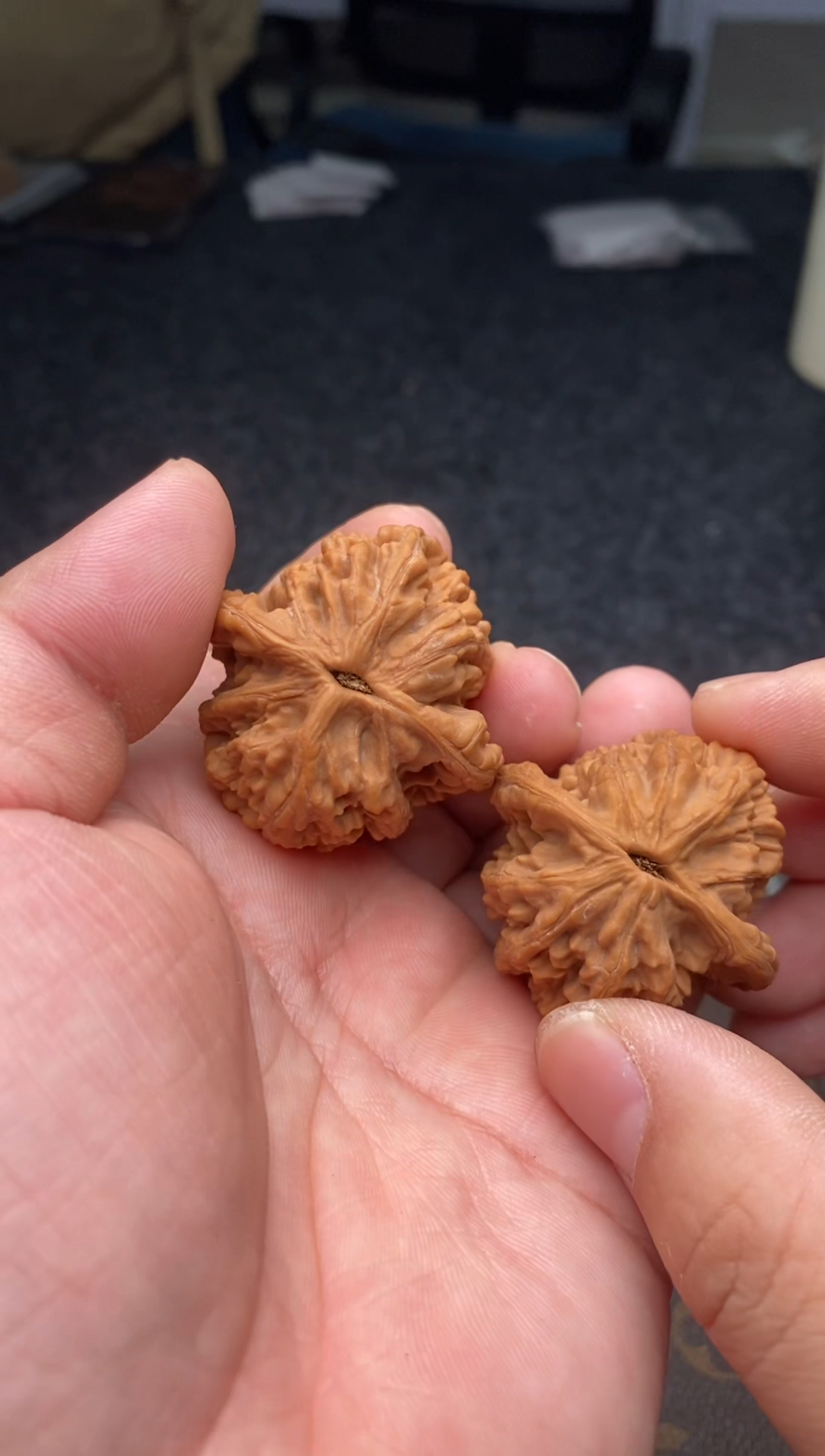 把件文玩核桃B118号41尺虎头全品