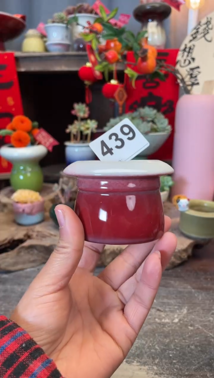 【闪购商品】摆件439知木小芳花盆