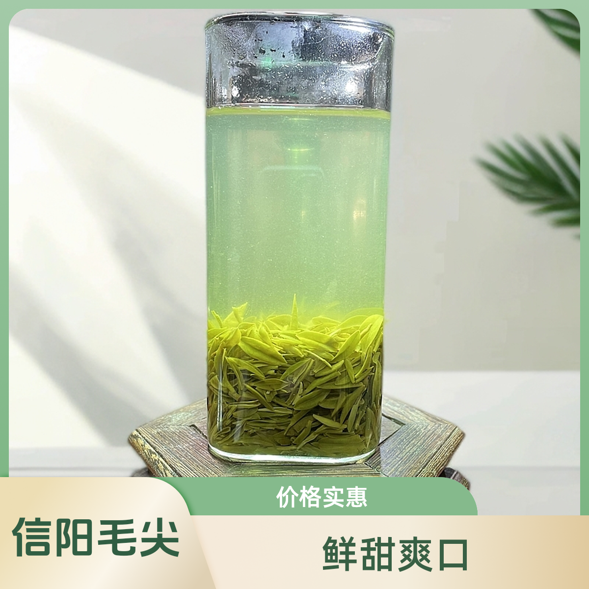 2025新茶毛信阳尖明前玉芽玉叶鱼鳞片黄片嫩叶片芯鲜甜爽口
