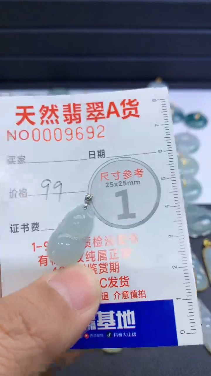 【闪购商品】翡翠颈饰未镶嵌翡翠