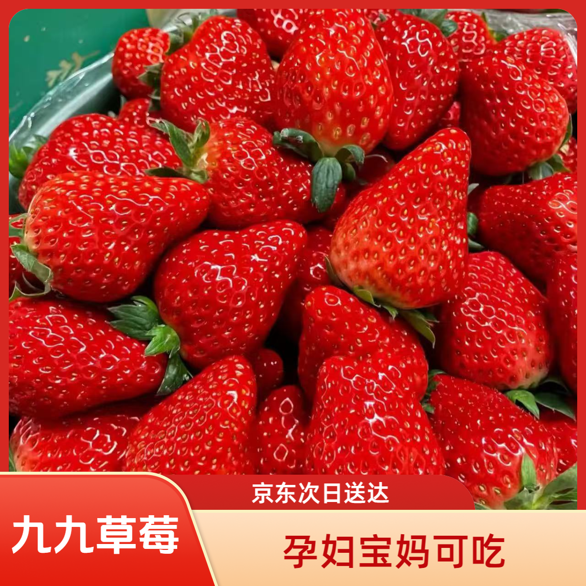 【九九奶油草莓】奶油九九草莓现摘现发头茬孕妇宝妈可吃京东次日送达河北省
