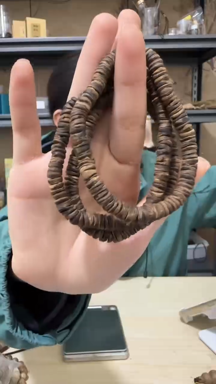 【闪购商品】沉香手串9号文莱随型手串多样性一条