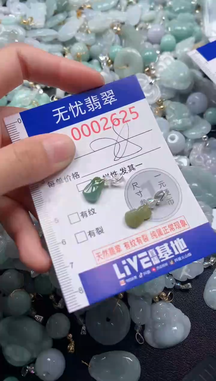 颈饰未镶嵌翡翠2625