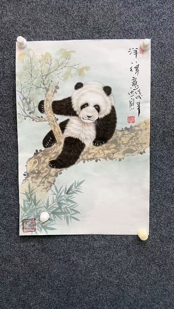 【闪购商品】国画2.9郑志宗四尺三开熊猫91