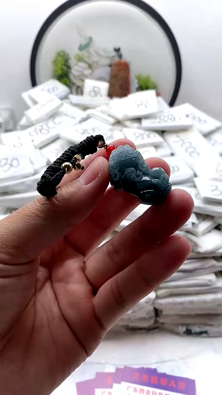 翡翠未镶嵌颈饰貔貅y